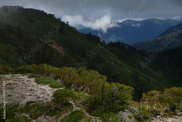 Fototapeta 仲秋の日光の山々