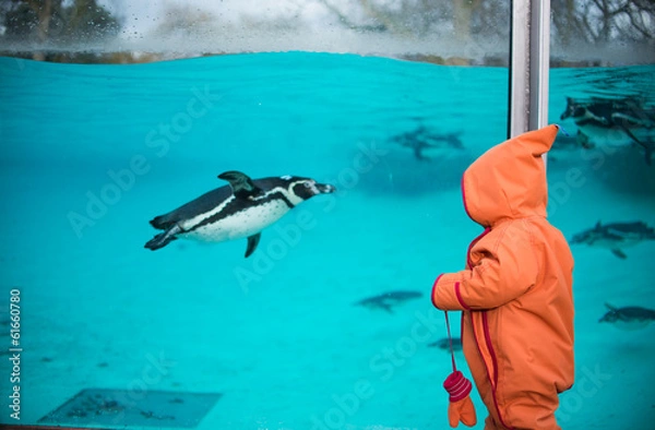 Obraz Pinguin und Kleinkind