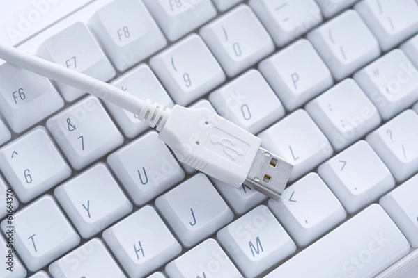Obraz USB cable and keyboard