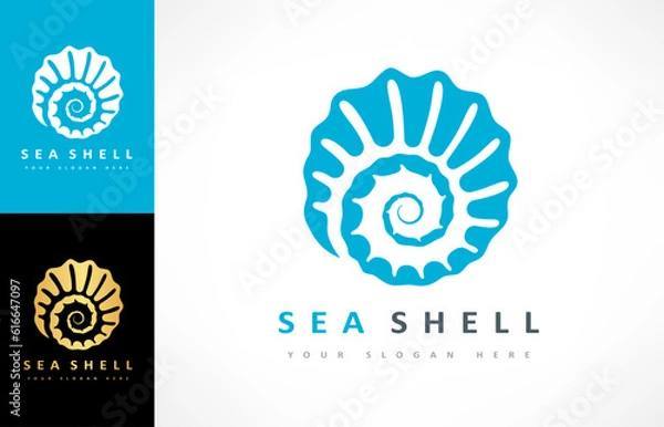 Obraz Seashell logo vector. Nature design.