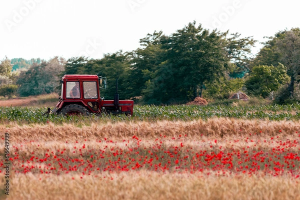 Fototapeta A picturesque scene with a tractor on a dirt road, surrounded by a wheat field adorned with poppies, and a backdrop of a forest.