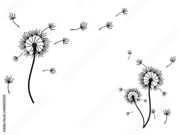 Fototapeta Abstract background dandelion design for decoration design.