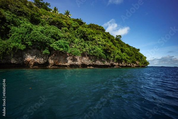 Obraz Tropical Paradise