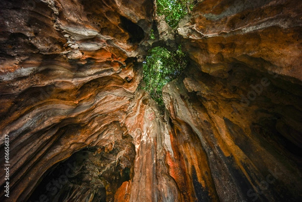 Obraz Tropical Paradise