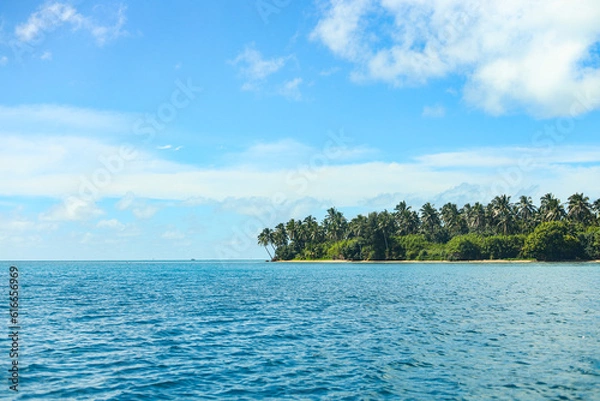 Obraz Tropical Paradise