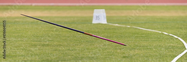 Fototapeta Javelin in field, stuck in the grass, javelin speared into the ground