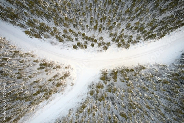 Obraz fork in the road in winter forest