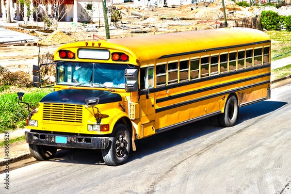 Obraz Old American bus