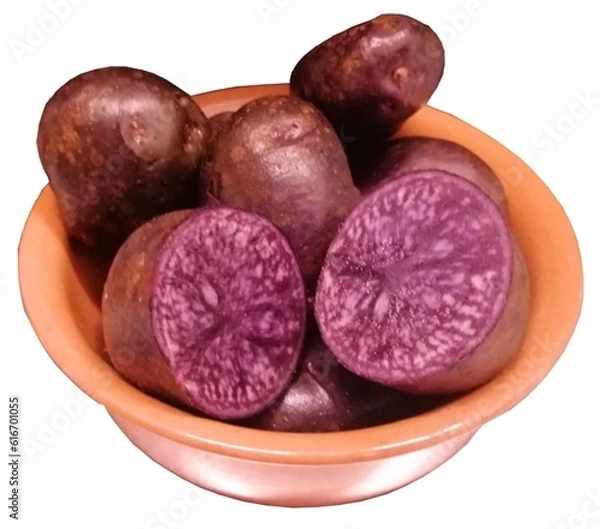 Obraz Patate viola in ciotola di terracotta