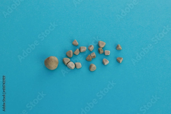 Obraz Gallbladder stones close up on blue background