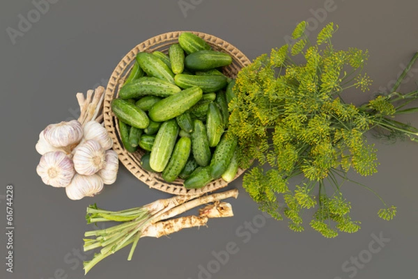 Obraz Pickling cucumbers