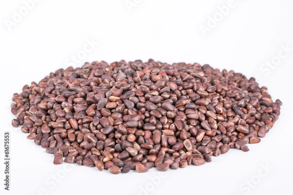 Fototapeta Pine Nuts