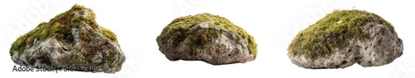 Fototapeta Set of nature mossy rocks isolated on a transparent background
