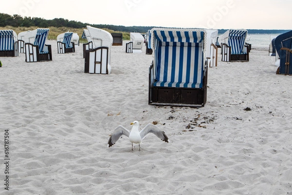 Obraz Strandkorb und Möve