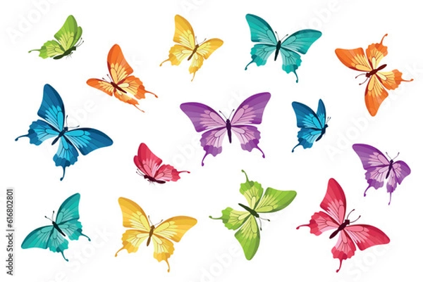 Fototapeta Butterflies. Flying colorful butterflies on white background. Isolated. Vector illustration