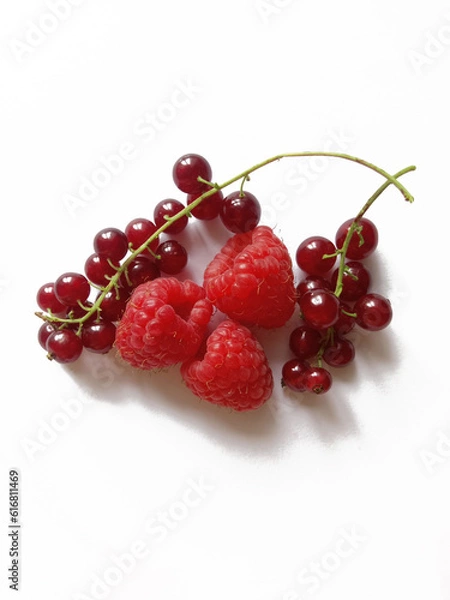 Fototapeta raspberries and bunches of red currants on a white background