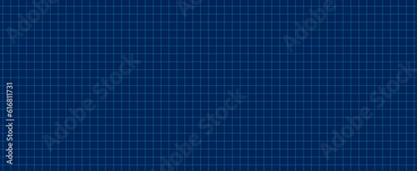 Fototapeta Grid line wireframe pattern textured technology background.