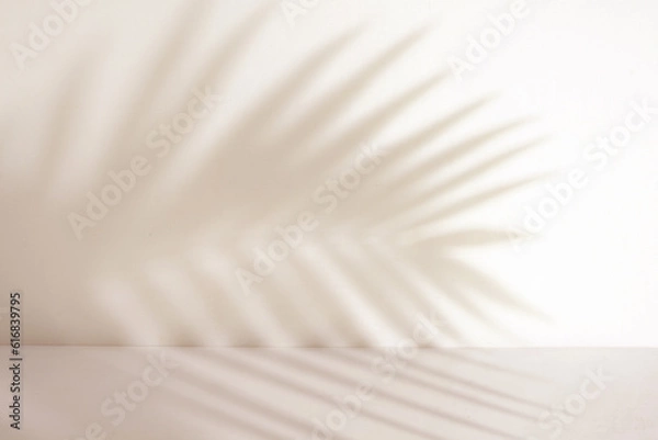 Obraz Minimalist empty room with palm leaf shadow