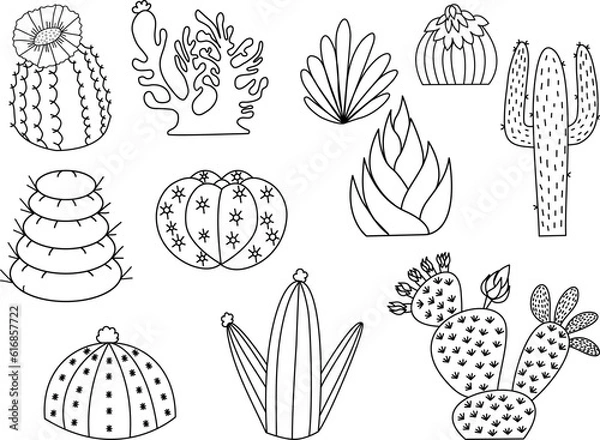 Obraz This is a cute cactus doodle drawing. It shows different types of cacti with flowers, spikes, and shapes.. Express your love for cactus plants and nature.