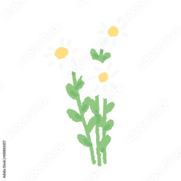 Obraz daisy doodle flower
