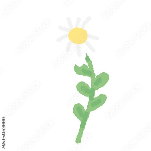 Obraz daisy doodle flower