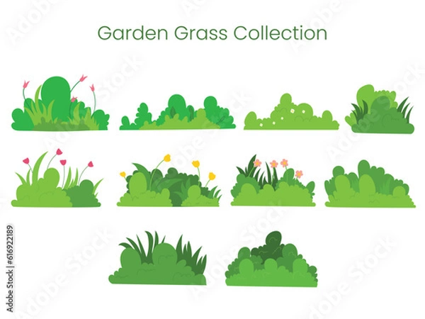 Obraz Set collection garden grass handdrawn vectoe