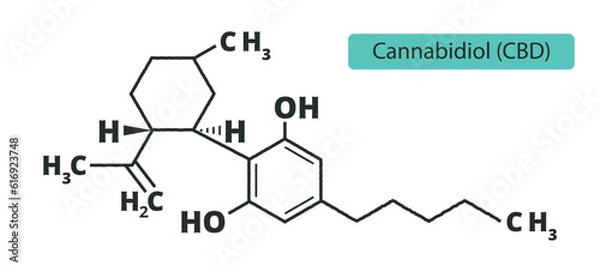 Fototapeta Chemical formula of CBD cannabidiol. Marijuana.Skeletal formula structure isolated on white background. Vector illustration.