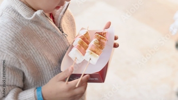 Obraz A child takes a toasted marshmallow from the hands of a salesman