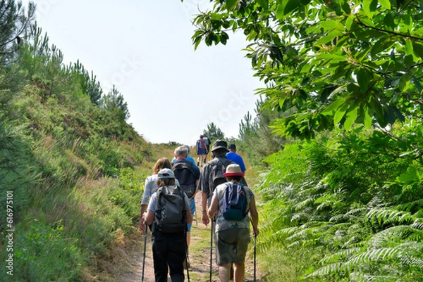 Fototapeta Groupe de randonneurs seniors dans la forêt de Penhoat au-dessus du Trieux - Bretagne France