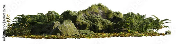 Fototapeta rocky forest floor with plants and rocks isolated on transparent background banner