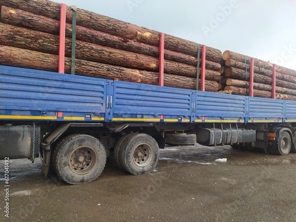 Obraz a large truck carries long logs