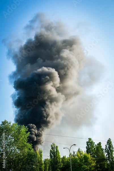 Obraz Emergency helicopter recharging water to extinguish a forest fire thick black smoke rises into the blue sky. Smoke from fire. Disaster. High quality photo