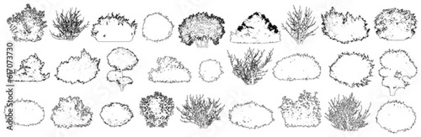 Fototapeta Set of bush and bare bush, decorative garden plants, contour. Vector illustration