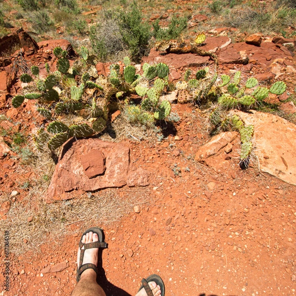 Obraz red rock canyon