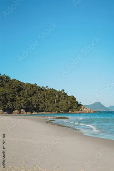 Obraz Ilha do Campeche, Florianópolis