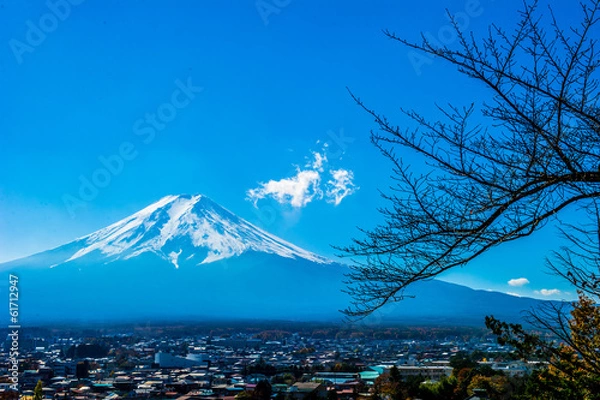 Obraz Mount Fuji