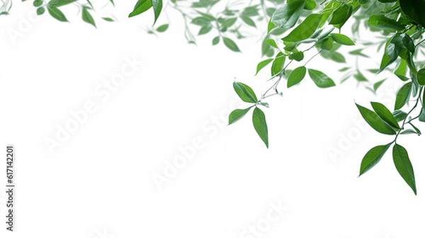 Fototapeta Lush Green Leaves Falling Frame Border Illustration White Background. A.I. Generated.