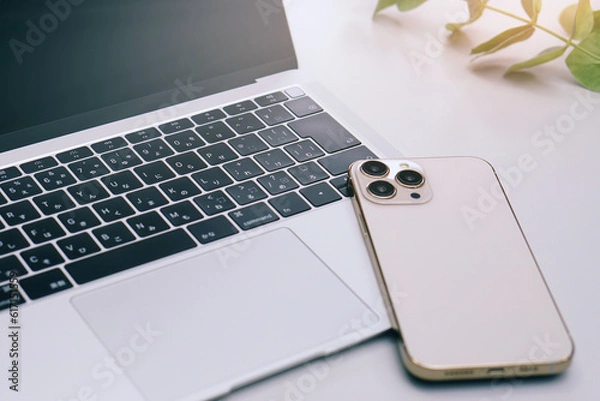 Obraz 在宅ワーク