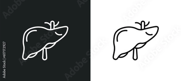 Fototapeta liver line icon in white and black colors. liver flat vector icon from liver collection for web, mobile apps and ui.