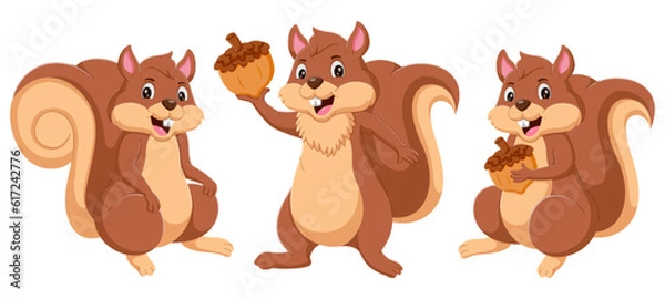 Fototapeta Cute squirrel cartoon collection set. Vector illustration
