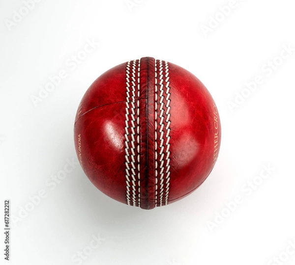 Obraz Red Cricket Ball