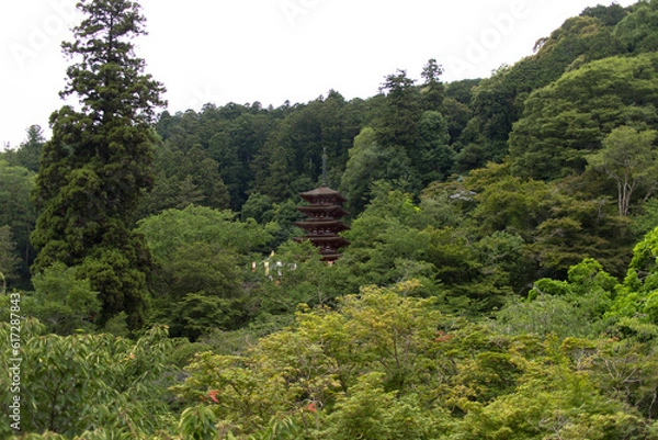 Fototapeta 長谷寺