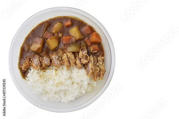 Obraz Isolated japan curry rice