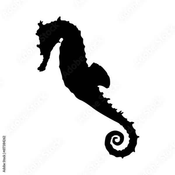 Fototapeta Swimming Seahorses Good To Use For Element Print Book, Animal Book and Animal Content