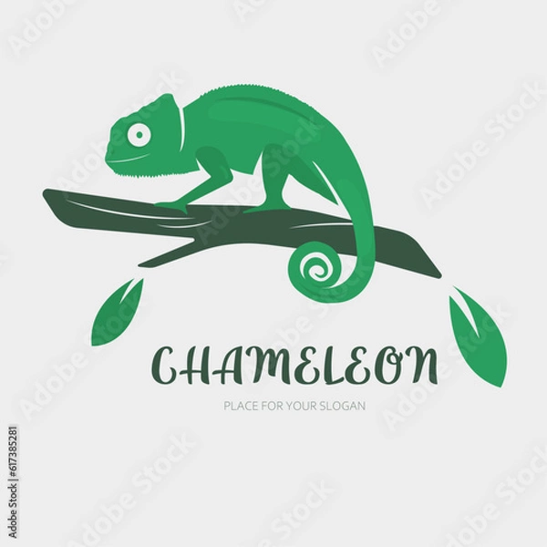 Obraz Chameleon logo