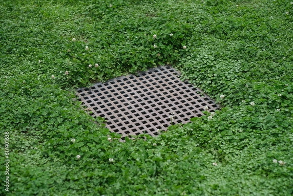Obraz クローバーと排水溝
緑のテクノロジー