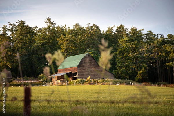 Obraz Barn on Lopez Island Washington