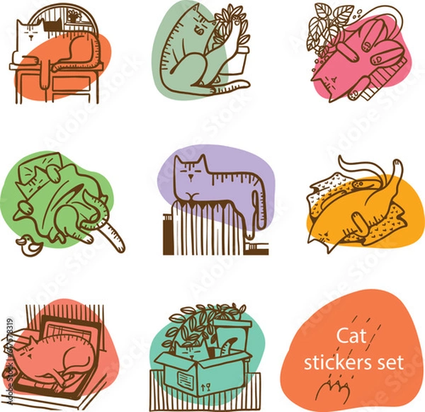 Fototapeta set of vector stickers with cats (different poses)