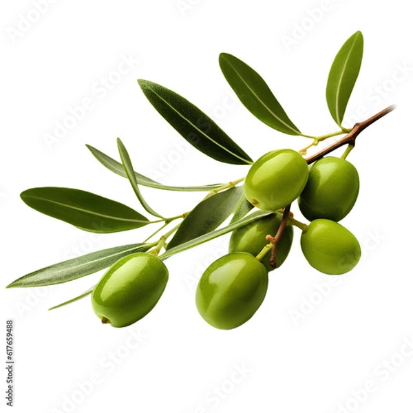 Obraz olive