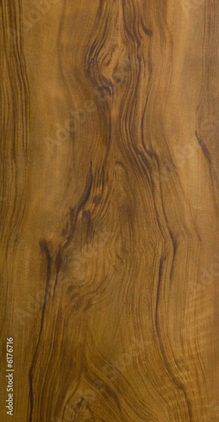 Obraz a walnut tree wood texture